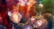 The World of Mediumship: An Amazing Journey - Dag 1 zaterdag